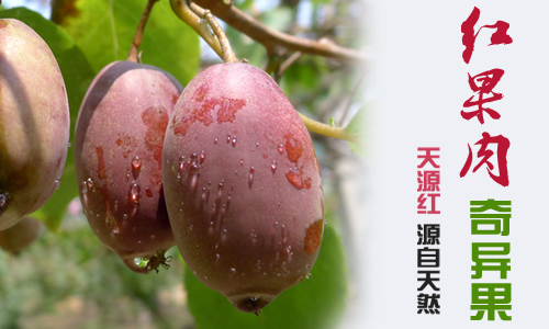 鹤壁市局整顿规范小餐饮市场秩序-YABO鸭脖官网(图2) yabo鸭脖