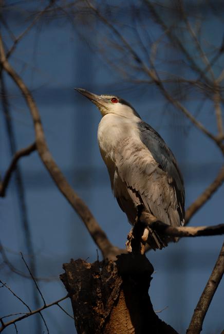 【YABO鸭脖官网】国土资源部发布《关于进一步规范矿产资源勘查审批登记管理的通知》(图2) YABO鸭脖官网