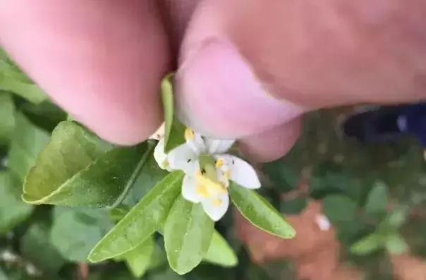 YABO鸭脖官网-【料到体育】联赛第1被炒!英媒为其喊冤武磊科雷亚成压垮巴尔韦德的最后稻草(图3) YABO鸭脖官网