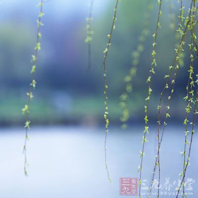 走定了?卡拉斯科留欧洲未归确定无缘战华夏崔康熙:我也没办法_YABO鸭脖官网(图1) YABO鸭脖官网