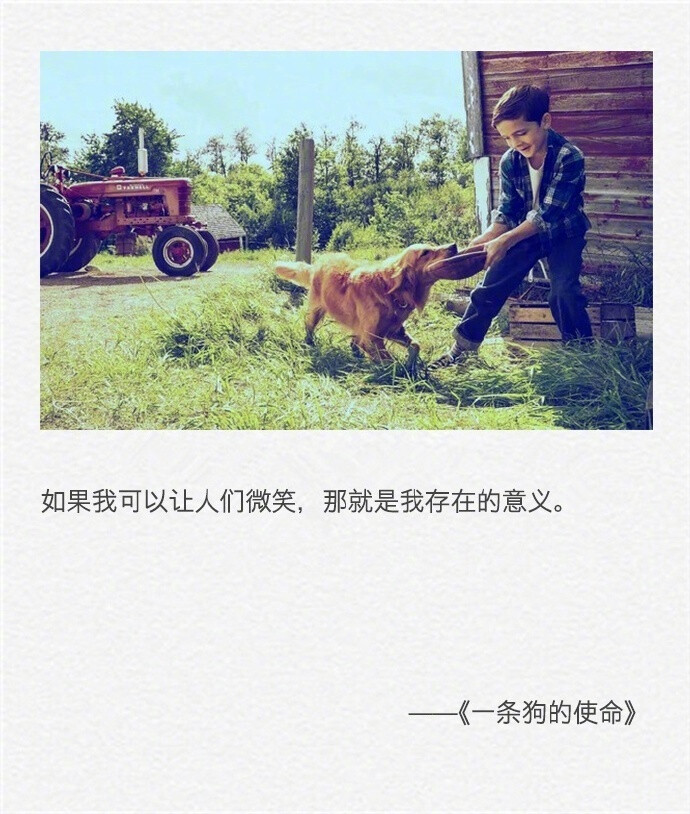 YABO鸭脖官网
