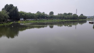 YABO鸭脖官网